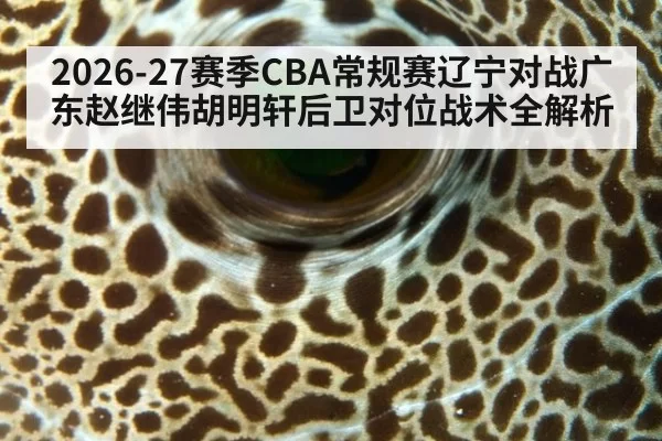 2026-27赛季CBA常规赛辽宁对战广东赵继伟胡明轩后卫对位战术全解析